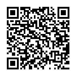 流墨墨有点傻眼的看着那个小不点瞬间变成了一个巨大的丹炉二维码生成