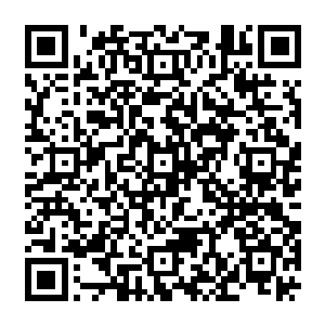 流墨墨毫不掩饰的气息让她明白这个看上去无害的小女孩大概一根手指就能碾死她二维码生成