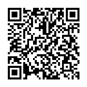 流墨墨略不爽的看着光幕中那些修真者打量自己不明意味的目光二维码生成