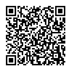 流墨墨疑惑的看着没有一点灵气波动仿佛凡人的老头慢慢走到她面前二维码生成