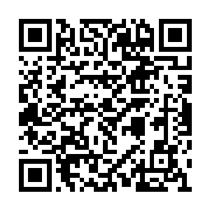 流墨墨的意识体嗨皮的在若相离的神魂中玩耍着二维码生成