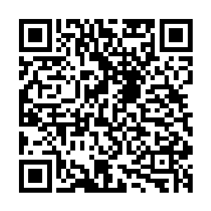 流墨墨看了一眼那莫名用温和和些微疑惑目光看着自己的雪鸢二维码生成