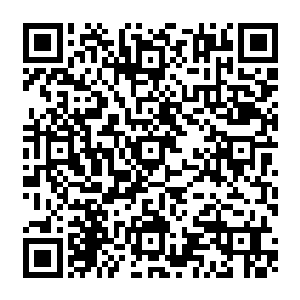 流墨墨看着乾坤袋中处于沉睡的在人形模样的墨荷脑袋上的粉嫩荷花花苞也是无言二维码生成