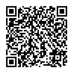 流墨墨看着雪如楼眼巴巴看着自己的可怜模样忍不住伸手去捏了捏他的脸二维码生成