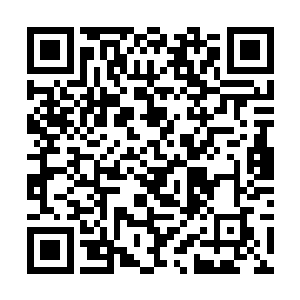 流墨墨神色微滞的回首看着那正在迅速扩大的缺口内二维码生成
