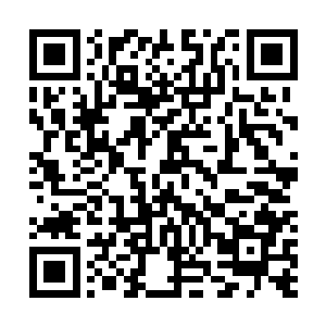 流墨墨身体有些碎裂的地方在青色灵力的流转下慢慢修复二维码生成