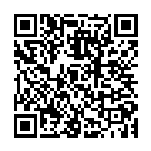 浑然忘记了这是刚刚他要一刀杀死而刚刚又一剑将他击溃的人二维码生成