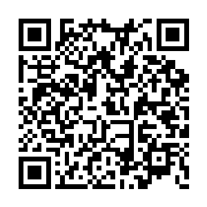 浑身上下仿佛一个木乃伊一般缠满了血色的布条二维码生成