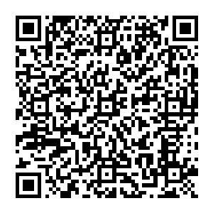 浑身散发出一股惊人杀气和霸气的狮驼王也带着那被黑袍所覆盖的手下从空间裂缝中钻了出来二维码生成