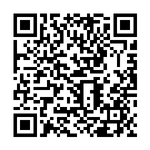 浑身散发着无比可怕气势的梼杌凶兽相势霍然显现在眼前二维码生成