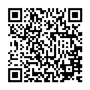 浑身血色的符文陡然之间开始飞快的飞出顺着王乾那伸出的手掌二维码生成