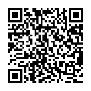 浑身长满细小密集尖刺的原生物用一根金灿灿的棍子串成了串二维码生成