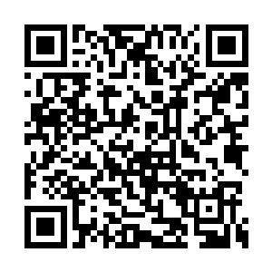 浓浓的嫌弃和不解把颜洛儿的怒气值瞬间砸没了二维码生成