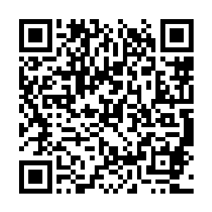 浙军大营哨塔上的哨兵早早的就看到了张经一行了二维码生成