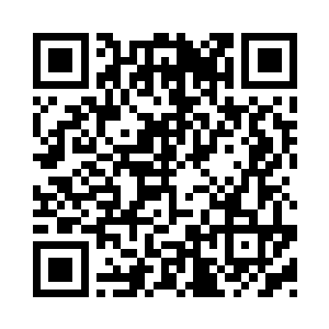 海天传媒几乎动用了旗下所有的艺人二维码生成