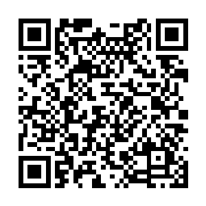 海尔辛回想着他通过仆从巴巴尔的眼睛看到的战况二维码生成