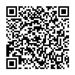 淘宝拳和皮野绫在逃跑时被对面娜美一个水泡给双双击飞到了空中二维码生成