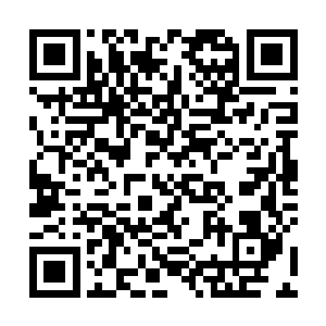 淡月舞目光坚定地望向了空中那张正在扑击而下的血脸二维码生成