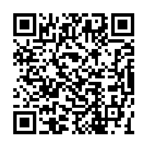 混沌病毒先感染了负责创造和使用我们的女娲族二维码生成