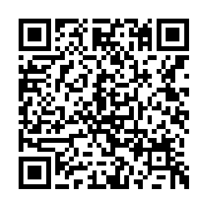 混沌种子在定海神珠之中开始缓慢的旋转了起来二维码生成