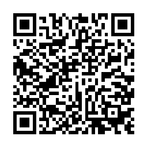 淼兴奋不已的惊一个长长的箱子狠狠的丢在大家的面前二维码生成