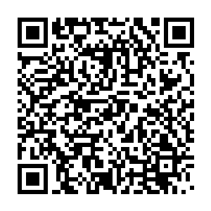 渐渐的龙傲天在整个寰宇天界的形象再一次被塑造的更加的高大起来二维码生成