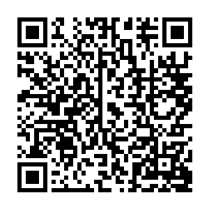 港口虽由镜花水月大阵保护住――这阵糅合芊芊木脉和惊雨恨云水脉的两家之长二维码生成