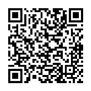港商的确有意要在南潭投资建设一个猕猴桃加工企业二维码生成