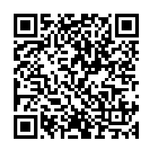 游轮已经沦陷了的第一层以及已经被攻破了一小半的二层之中二维码生成