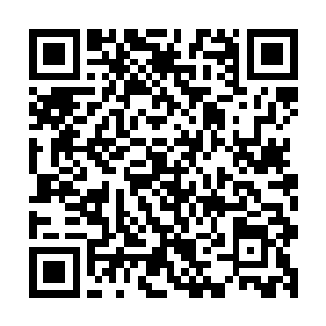 湛南看着后视镜里自家主子每每因为吃醋而表现出的幼稚行为二维码生成