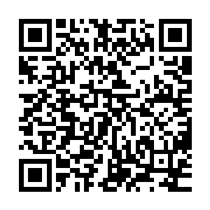 滚滚的鲜血和人头也已经开始慢慢教会人们形势比人强的现实二维码生成
