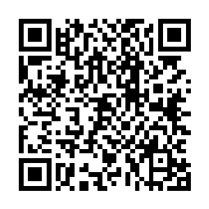 满脸不可思议地盯着那一只只珍稀至极却又强大无比的妖兽二维码生成