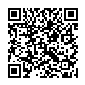 演唱的也是类似于未来洗脑神曲般最为简单的流行歌曲二维码生成