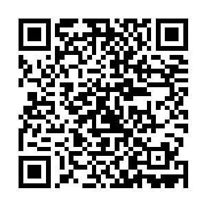 潘德拉人无时无刻不再庆幸自己做出了此生最正确的选择二维码生成