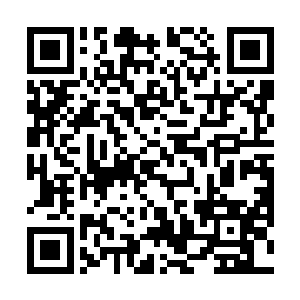 潘达之在梁炎和焦武阳悄然出门时就承担起了主人角色二维码生成