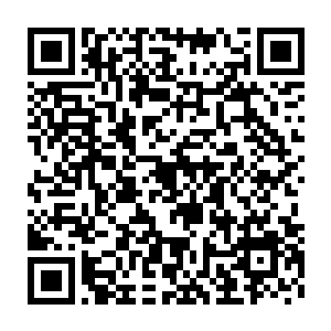 潜藏在他血肉之中多年的金圣龙本源之力似是受到了某种力量的激发二维码生成