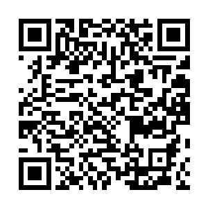 潜藏在赵虎血肉细胞当中的九转金丹药力缓缓的释放出来二维码生成