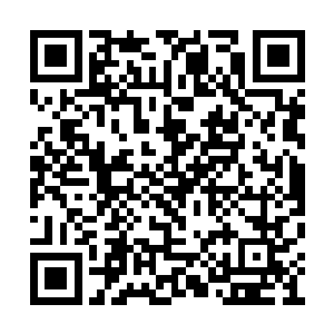 澹台璃你丫的就等着我再见到你直接磨牙咬死你二维码生成
