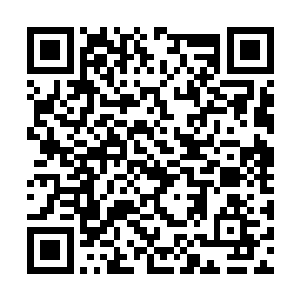 澹台璃眼底那纠结情绪在我迎上他视线的瞬间顿散二维码生成