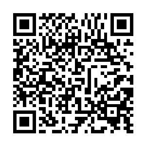 火把的光亮和张铁的脚步声把矿洞洞口的几只篇幅惊动了二维码生成