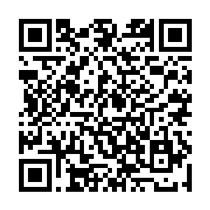 火焰一出现就被江逸控制按照某种特殊轨迹飞舞游走二维码生成