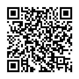 火里哈和火古亮两人同时使出烈焰飞舞攻击江帆和纳甲土尸二维码生成