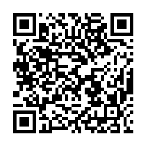 灯红酒绿出现在部分的确说明还是有娱乐场所的存在二维码生成