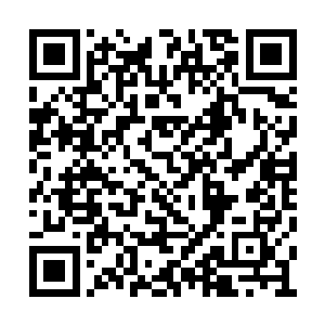 灵皮的表面及浮现出一个个大小不一的古怪符号二维码生成