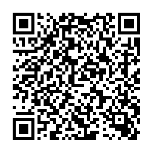 灵魂……执念……意志……背叛……大时代……大劫难……希望……二维码生成