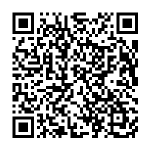 灵魂强悍了两倍跟实力进步两倍多的代离如今的猎杀效率何止是两倍二维码生成