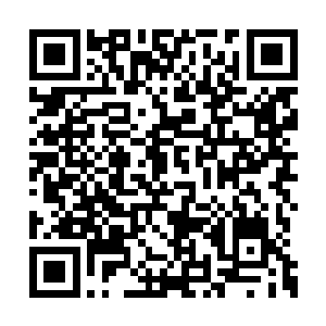 灼眼的光芒把浩瀚的荒野映射得比白昼都要明亮二维码生成