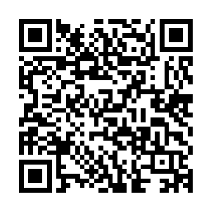 炉火纯青的武技再加上许多归元境武者都不一定能领悟到的意境二维码生成