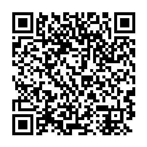 炼气期一百重的庞大真元全都以螺旋形态不住在他的断臂前方凝聚二维码生成