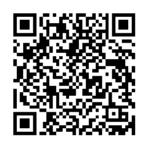 烈性淬体灵药能够利用药力刺激肉身达到一种极限修炼的效果二维码生成